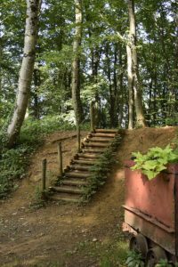 Escalier en bois dans le bois haut à Halanzy