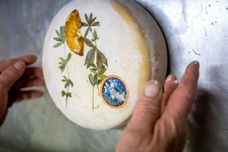 Fromage à l'aspérule