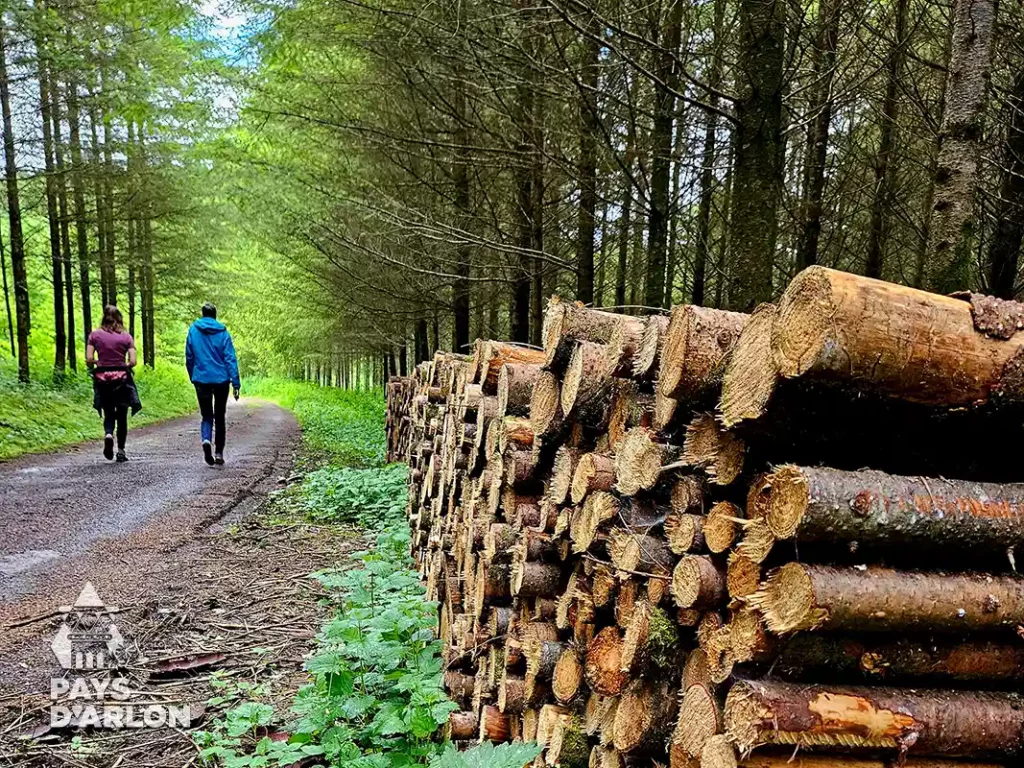 8 idées simples pour bien commencer l’année à 30 min. de Luxembourg