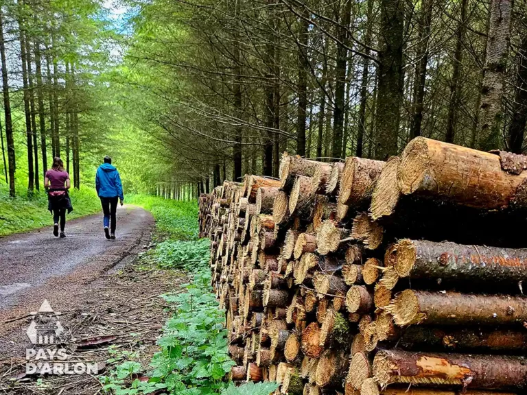 Deux personnes marchant sur un chemin dans les bois lors de la promenade des 7 Sources à Battincourt