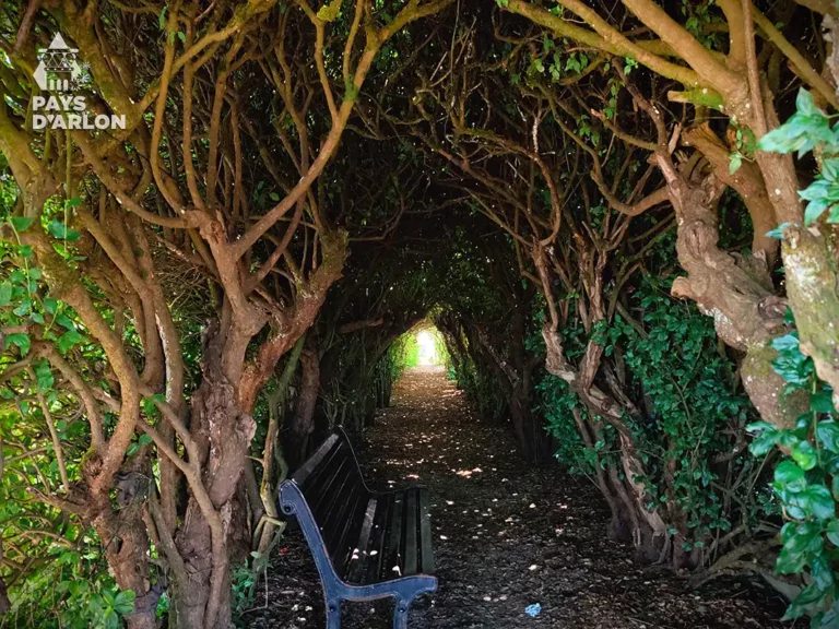 Charmilles de Cornouillers près de l’église Saint-Donat et de son belvédère à Arlon