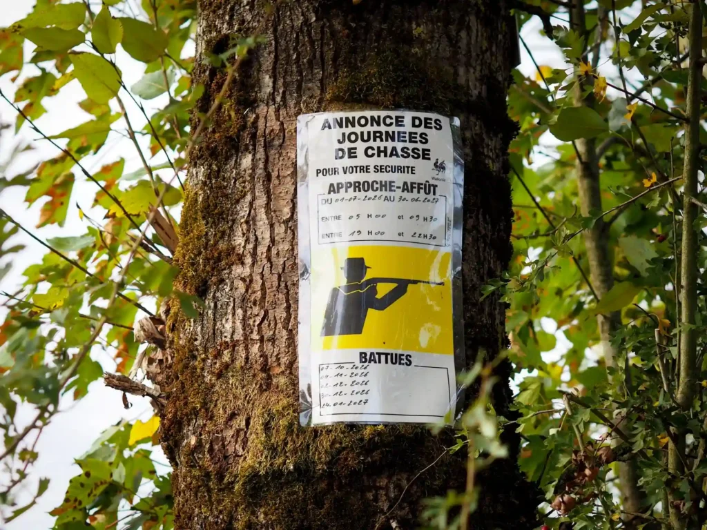 Peut-on se promener au Pays d'Arlon en période de chasse ?
