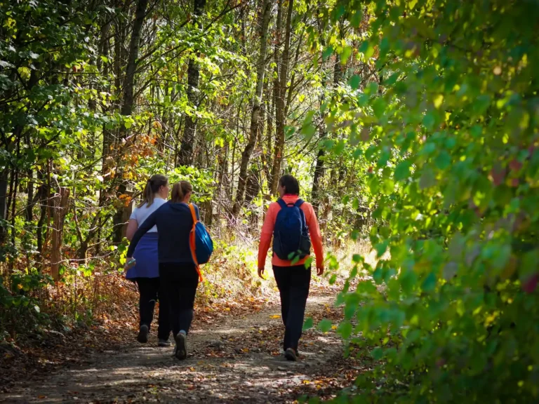 Trois promeneuses se baladent en forêt au Pays d’Arlon